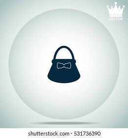 Ladies bag  vector illustration.