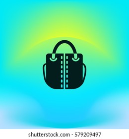 ladies handbag