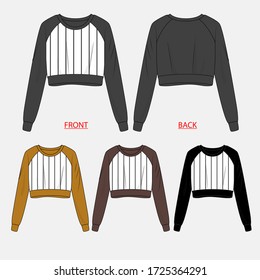 LADIES RAGLAN LONG SLEEVE STRIPED FRONT MATCHING CROP TOP VECTOR FLAT DRAWING