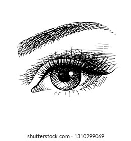 Lady beautiful lashes and brows, eye sketch