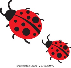 Lady Beetle Bug Icon. ladybug or lady bird on white background