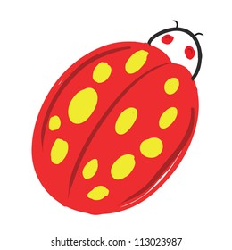 lady beetle bug sketch vector