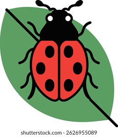 senhora besouro pássaro colorido linha arte ilustração