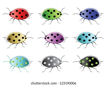 Lady Bug
