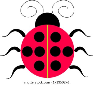 lady bug