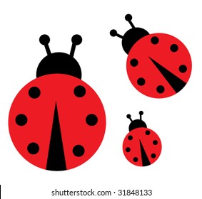 Lady Bug