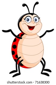 Lady Bug