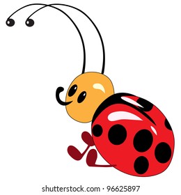 Lady bug