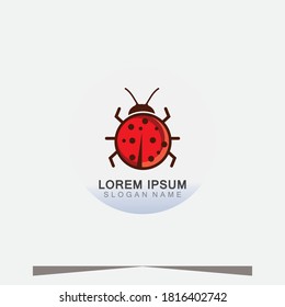 Lady bug animal beautiful vector illustration icon design template