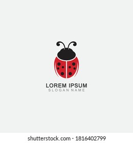 Lady bug animal beautiful vector illustration icon design template