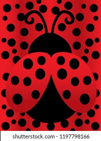 Lady Bug Background