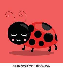 lady bug design vector illustration