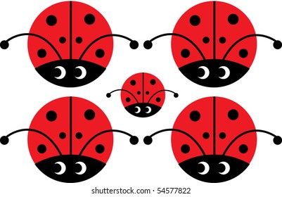 lady bug with eyes