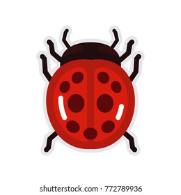 lady bug in flat style vector illustration