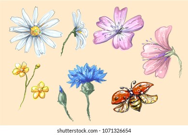 Lady bug flying with flowers set vector collection of cornflower chamomile buttercup with buds for compositions and bouquets vector illustration