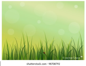 Lady Bug And Fresh Spring Green Grass Background. Vector Illustration.