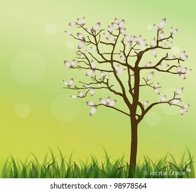 Lady bug and Fresh spring green grass background. Vector illustration.