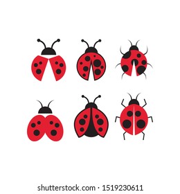 Lady bug graphic design template vector isolated