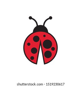 Lady bug graphic design template vector isolated