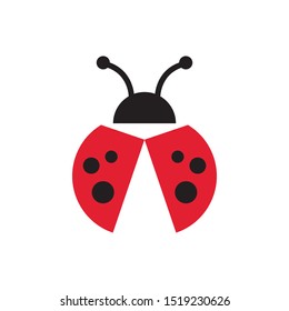 Lady bug graphic design template vector isolated