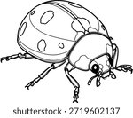 lady bug High-quality detailed line art illustration of animals with realistic outline drawing suitable for coloring book, engraving style, and vector print.