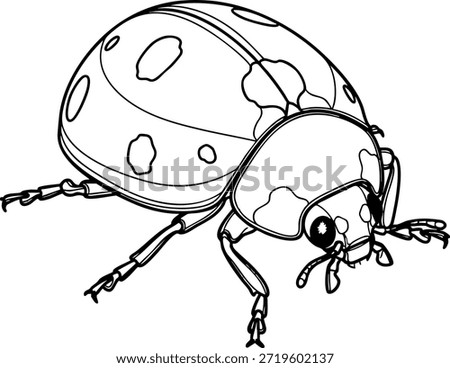 lady bug High-quality detailed line art illustration of animals with realistic outline drawing suitable for coloring book, engraving style, and vector print.