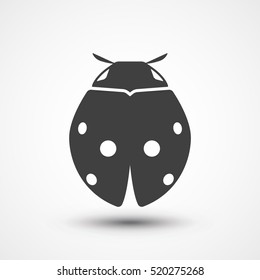 Lady bug icon