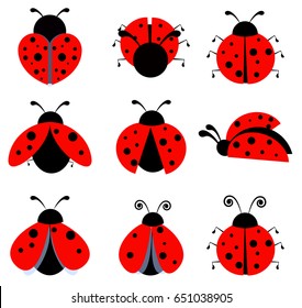 Lady Bug Icon Set 