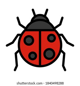 lady bug icon vector illustration. bug vector Illustration