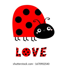 Lady bug ladybird insect icon. Side view. Cute cartoon kawaii funny baby character. Big eyes. Red black color dot. Word Love. Happy Valentines Day. Flat design. White background. Vector illustration