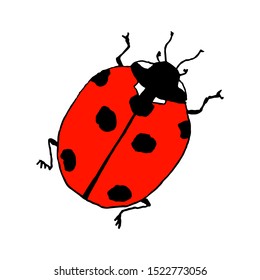 Lady bug. Line art doodle sketch. Colorful outline on white background. Picture can be used in greeting cards, posters, flyers, banners, logo, botanical design etc. Vector illustration. EPS10