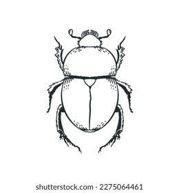 Lady Bug Line Art Vector.