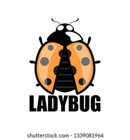 lady bug logo isolated on white background vector illustration