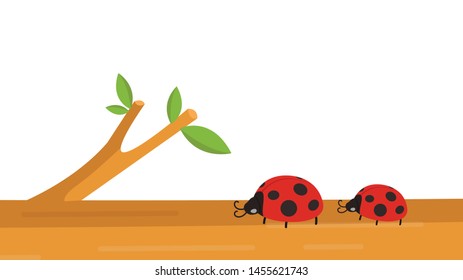 Lady bug on tree. wallpaper. free space for text. copy space. blank.