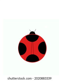 Lady bug ordinary many and easy find in the bush