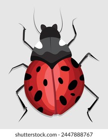 Lady Bug Vektorgrafik und Illustration