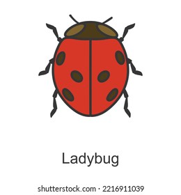 Lady bug vector icon.Color vector icon isolated on white background lady bug.