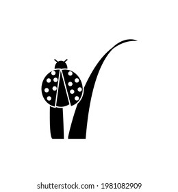 lady bug vector type icon