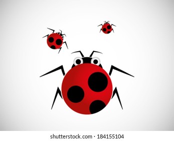 Lady Bugs