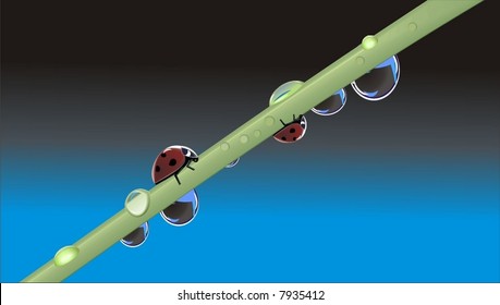 lady bugs in a morning dew (vector)