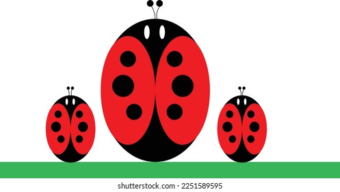 Lady bugs vector on white background and green grass