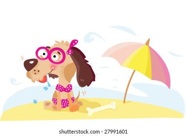 Lady dog on the beach. Vector illustration.