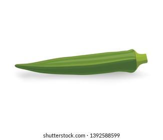 Lady Finger, Okra Illustration Vector 