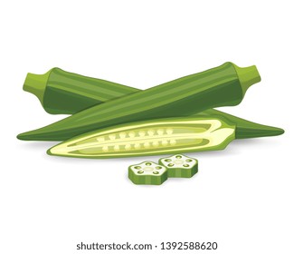 lady finger and its seeds vector illustration on white background