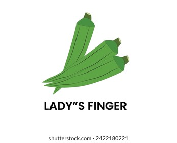 Lady Finger Vector Isolation And White background.