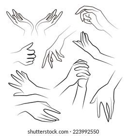 lady hands vector