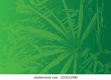 lady palm leaves as background vector
