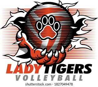 lady tigers volleyball team design with claw holding ball and net for school, college or league