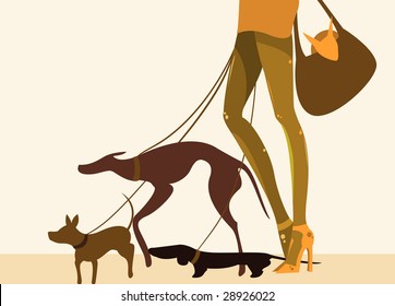 Lady walking her pet dogs