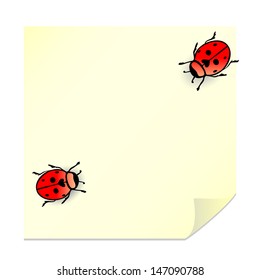 Ladybird